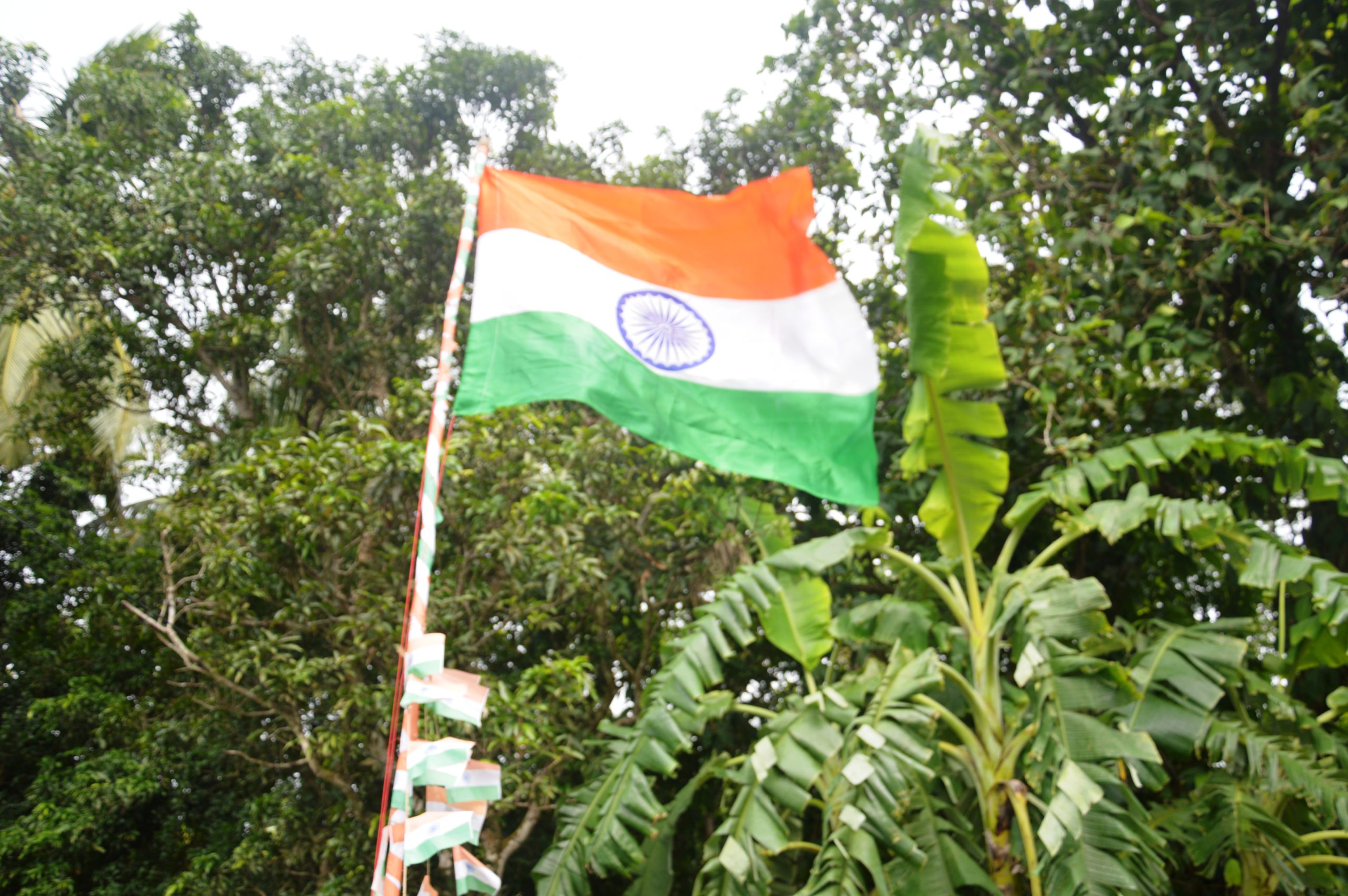 Image of Celebrating 75th Independence Day at Vidyashram Part – 3