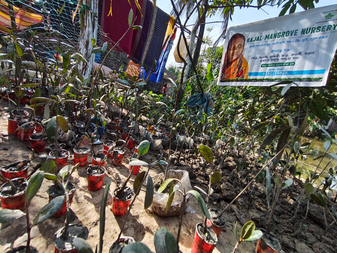 SOUL: Source of Unconditional Love