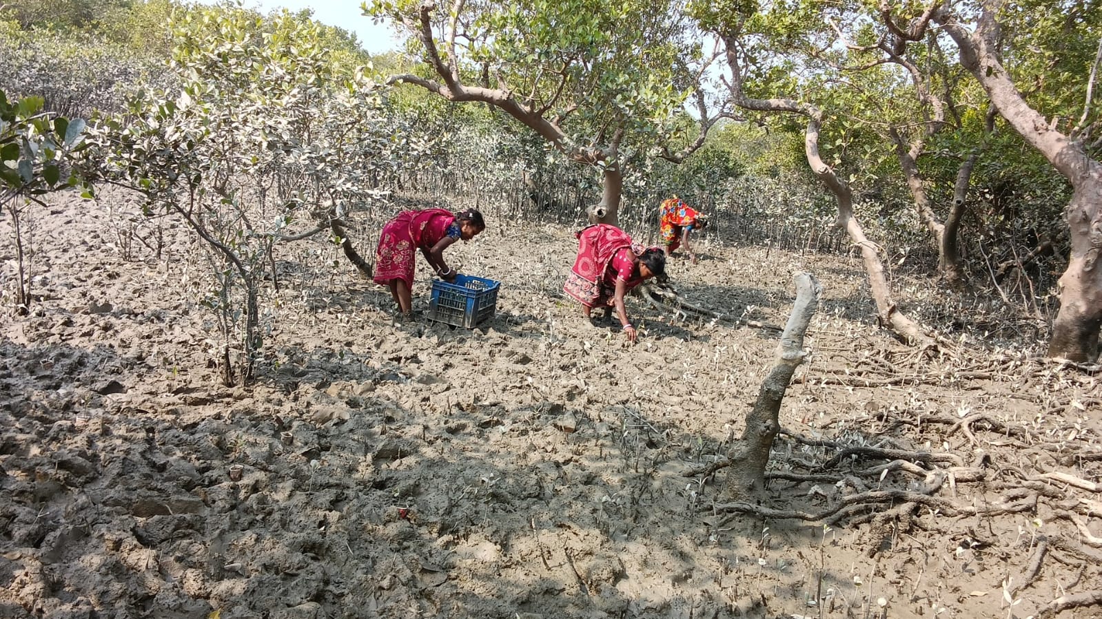 SOUL: Source of Unconditional Love